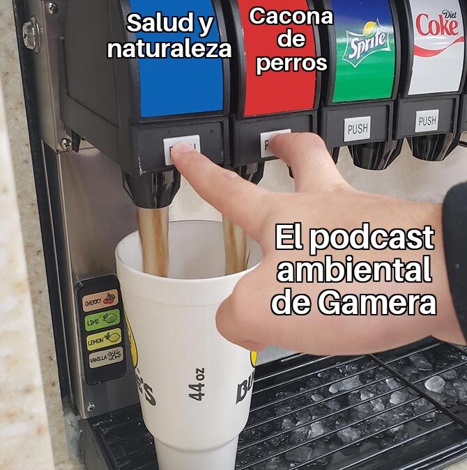 La caca del pichicho