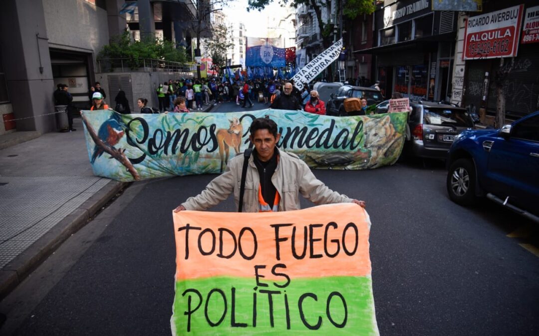 El lobby que frena la ley de Humedales