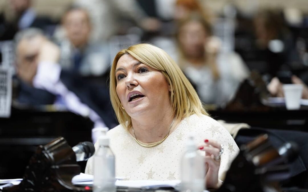 Bertone: “El régimen industrial es clave en la defensa geopolítica de Tierra del Fuego”